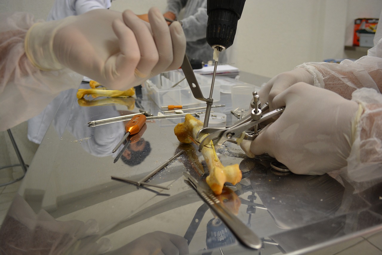 surgery, veterinary, orthopedics-1517079.jpg